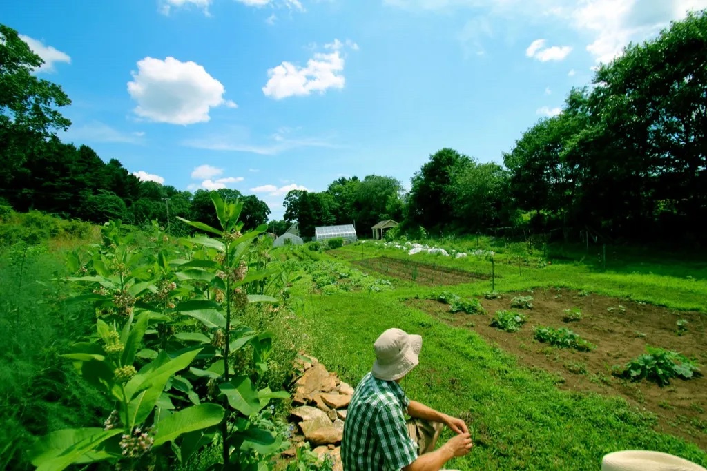 Photo Spring Valley Farm UCONN