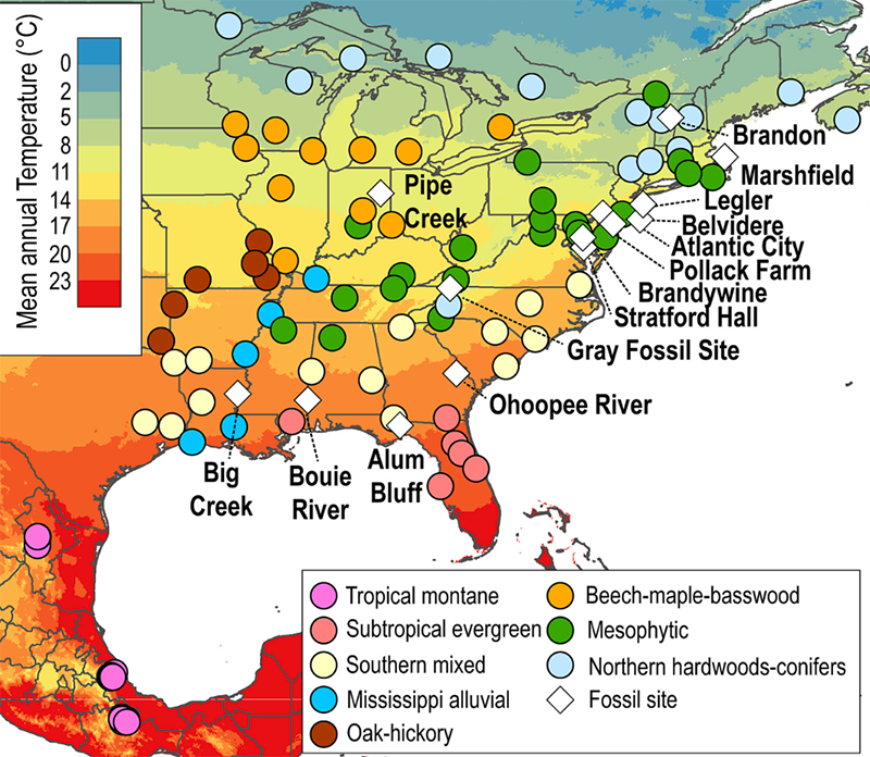 Miocene Vegetation Sites