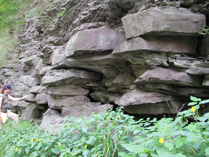 Late Devonian in Appalachian Basin